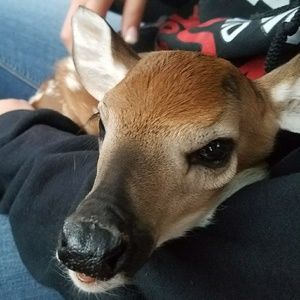 Meet your Posher, Matt