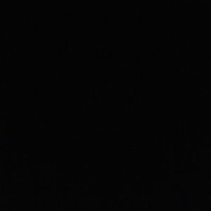 Meet your Posher, Winston