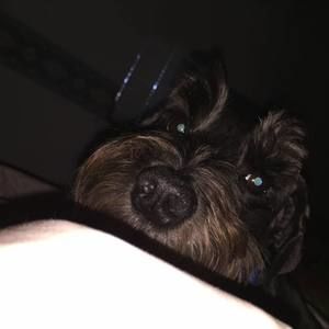 Meet your Posher, Deborah