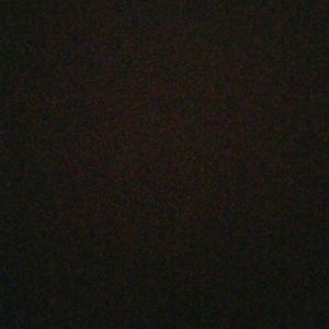 Meet your Posher, Oscar