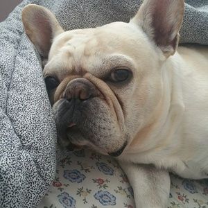 Meet your Posher, Monica