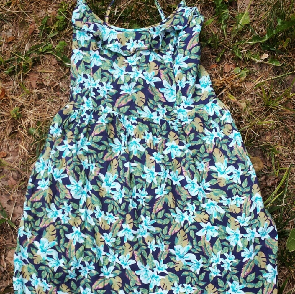 Hollister Floral Skater Dress