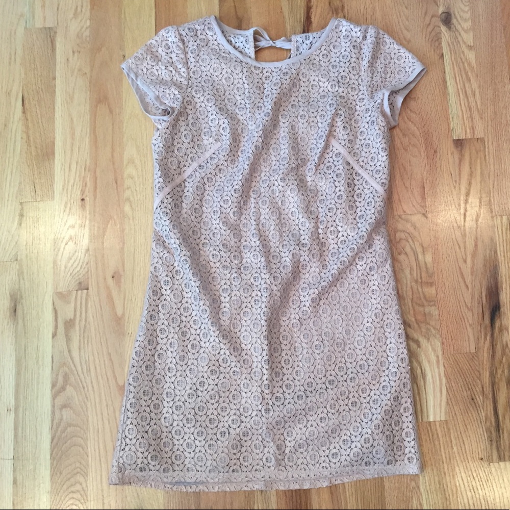 Ann taylor loft dress lace pink mauve 0p PETITE