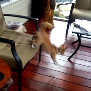 Meet your Posher, Steve