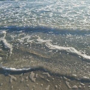 Meet your Posher, Ella