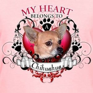 Meet your Posher, Cindi