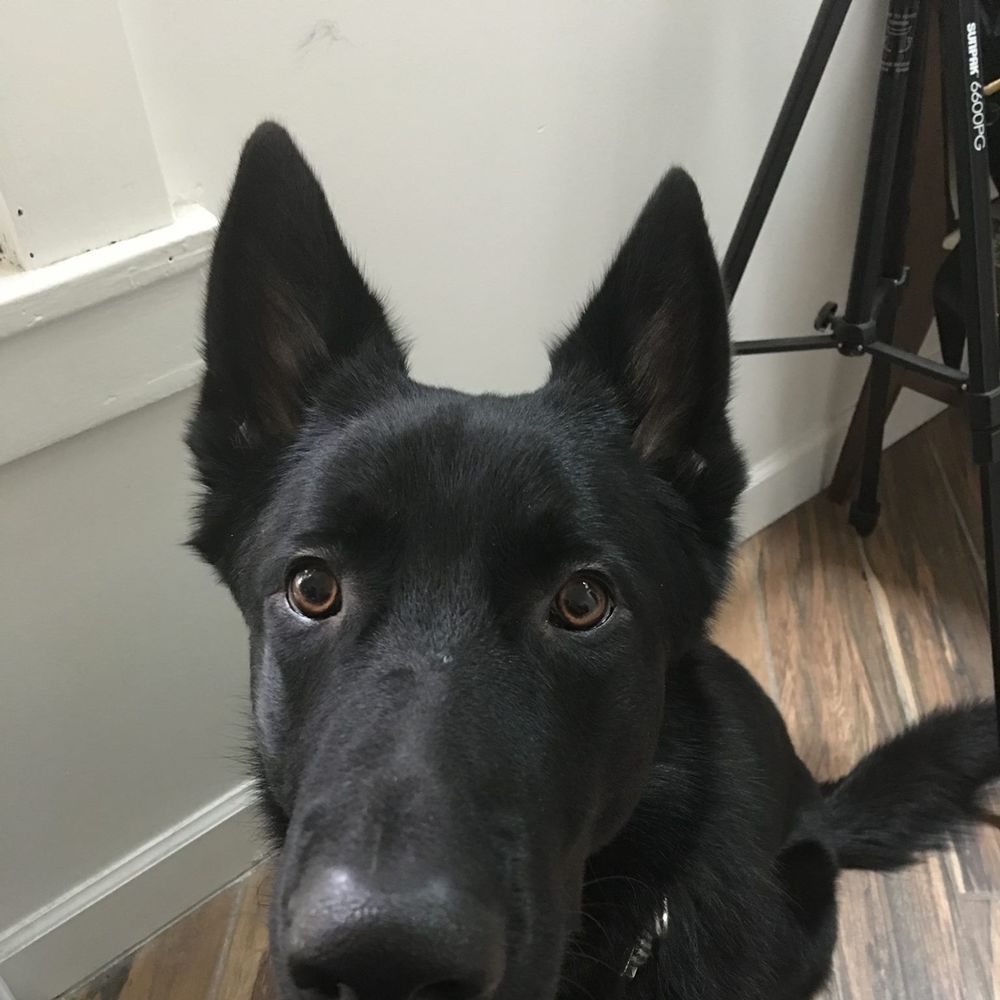 Meet your Posher, Tory