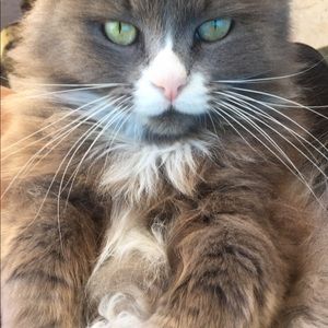 Meet your Posher, Johnny