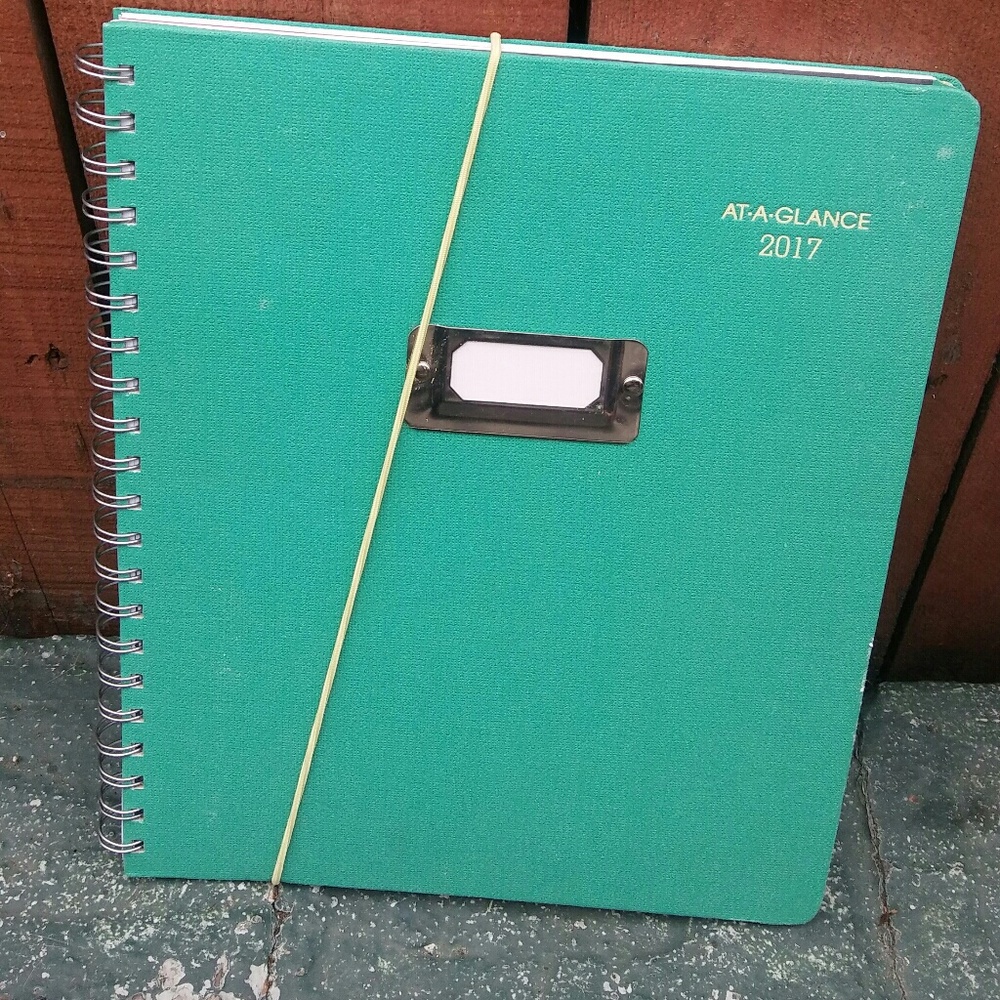 2017 At A Glance Daily Planner