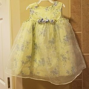 Precious little girls dress