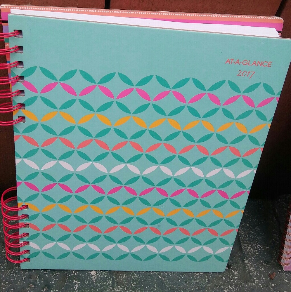 2017 Daily/Weekly Planner