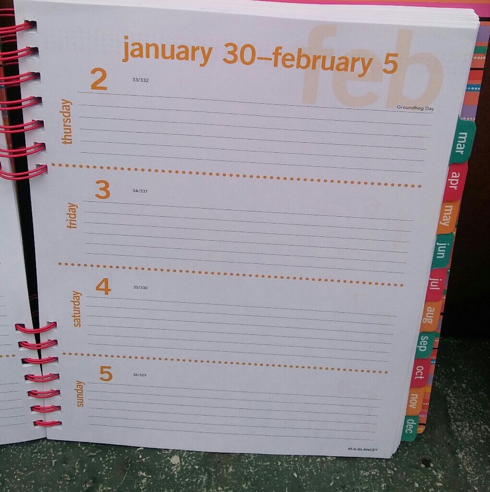 2017 Daily/Weekly Planner - Picture 3 of 4