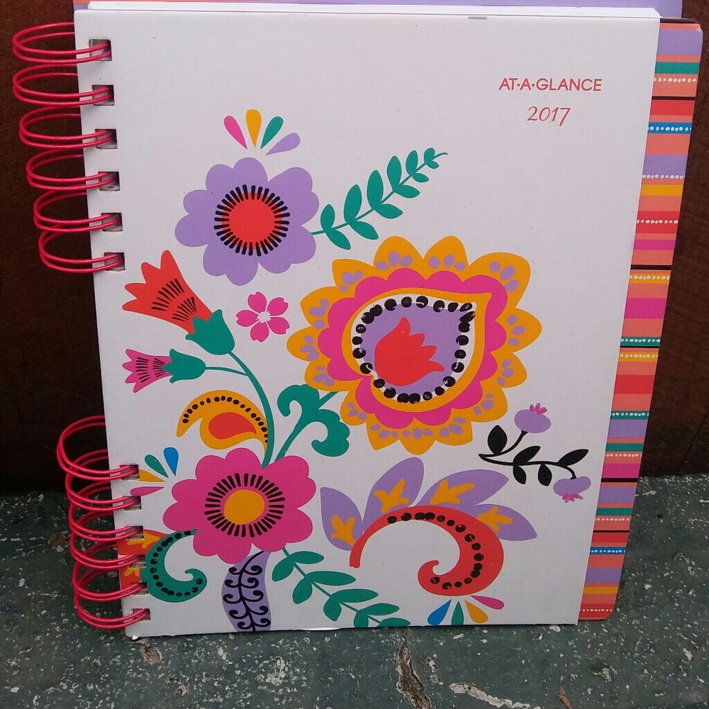 2017 Daily💜weekly💙monthly💚 planner