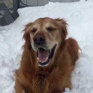 Meet your Posher, Lina