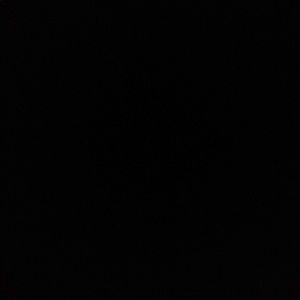 Meet your Posher, Jamarcus