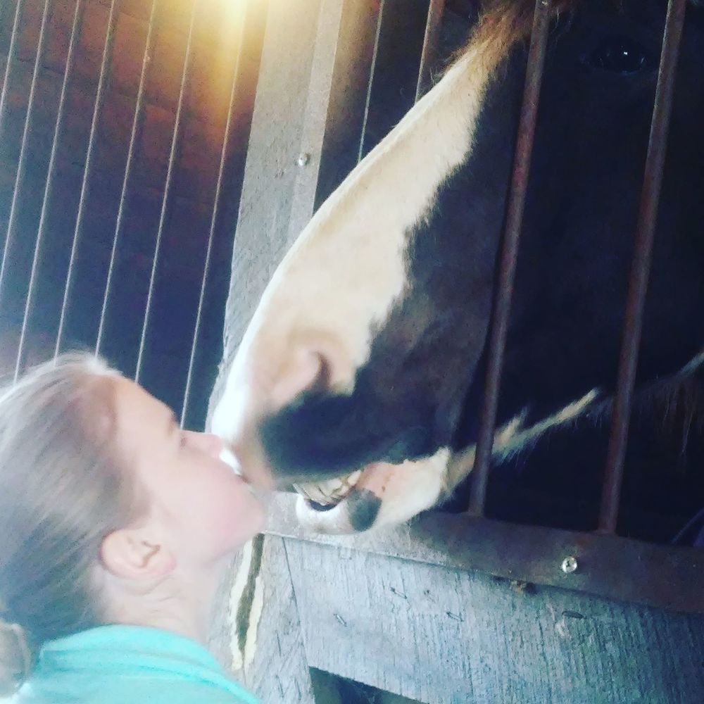 Meet your Posher, Grace