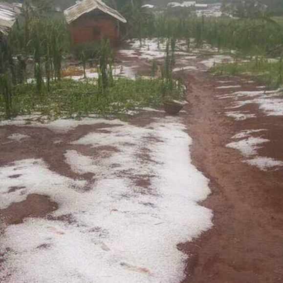 Meet your Posher, Ruth - Picture 1 of 1