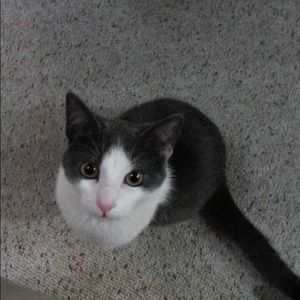 Meet your Posher, Farrah