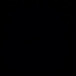 Meet your Posher, Rosa