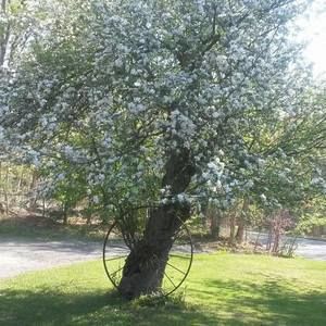 Meet your Posher, Donna