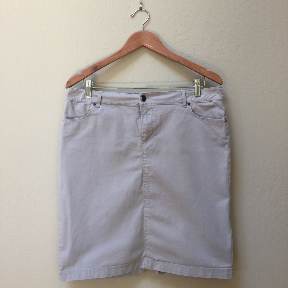 Zara Basic Classic Gray Skirt