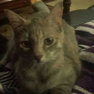 Meet your Posher, Dana