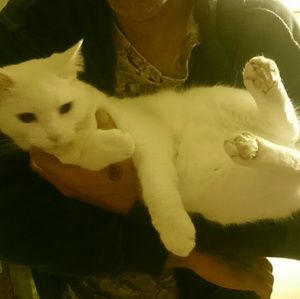 Meet your Posher, Nikki