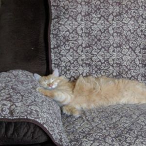 Meet your Posher, Vicky