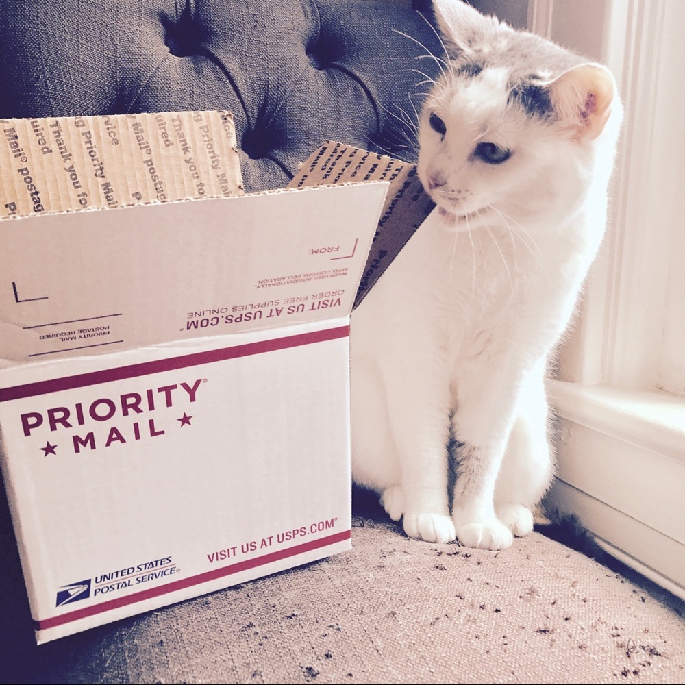 Shipping Inspector