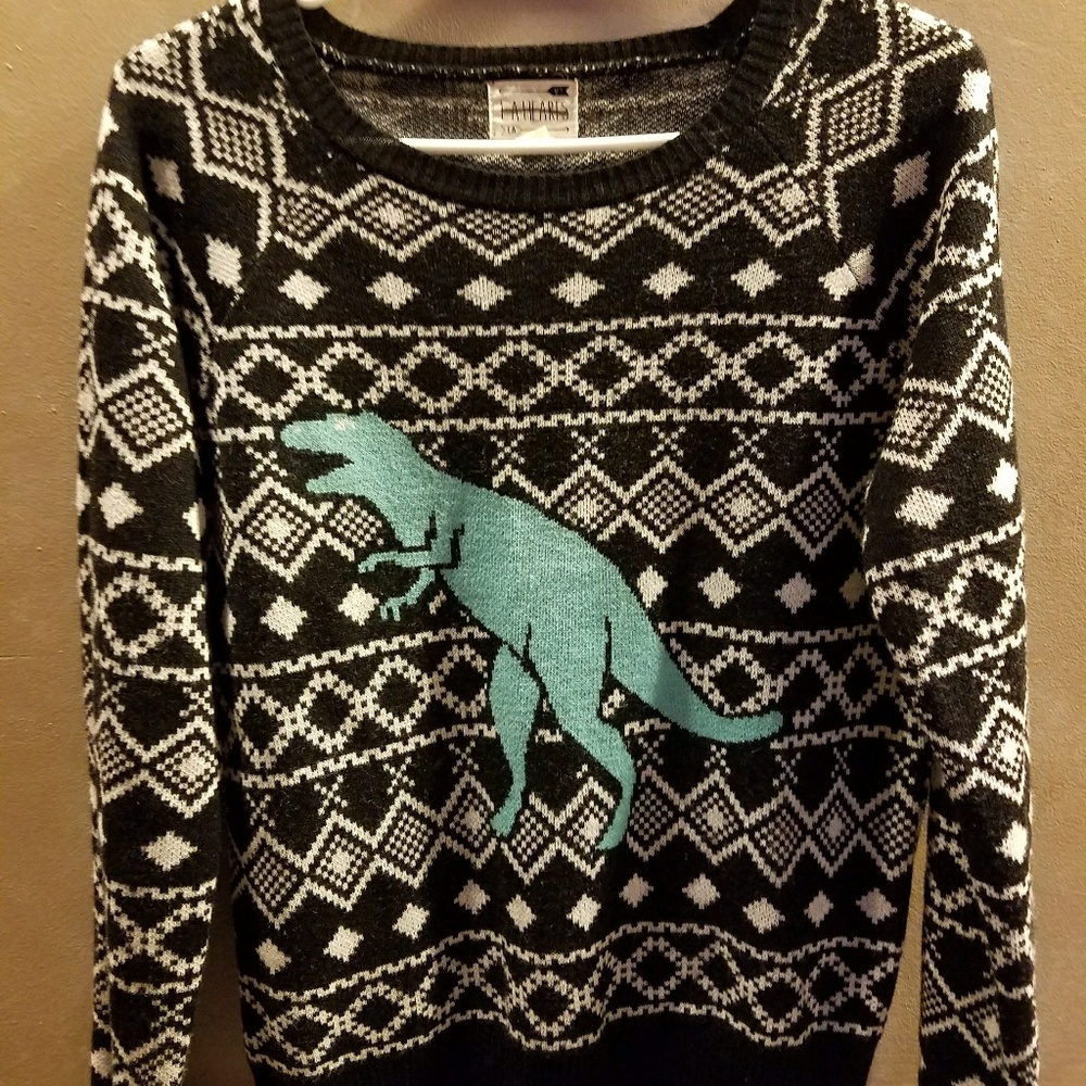 Dinosaur sweater
