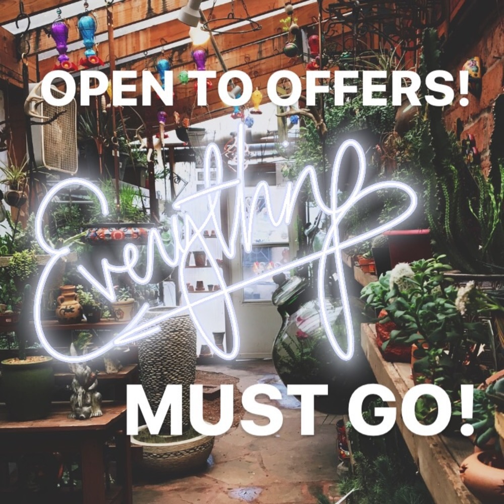 🌺🌵offers are welcome🌵🌺