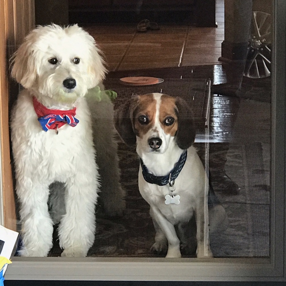 Meet your Posher, Shelly