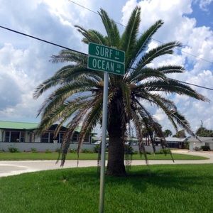 Meet your Posher, Jay