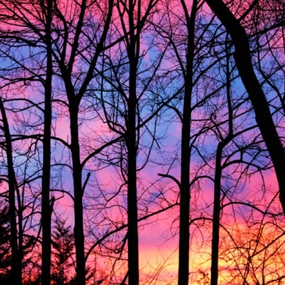 Meet your Posher, Courtney - Picture 1 of 1