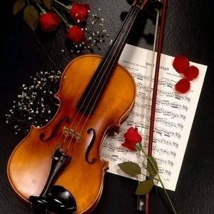 Meet your Posher, Trudy