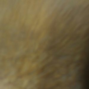 Meet your Posher, Erika