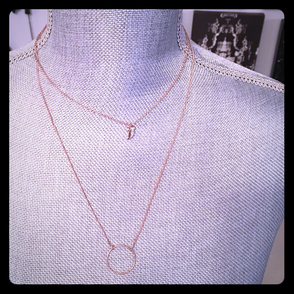 Rose Gold double strand necklace with horn