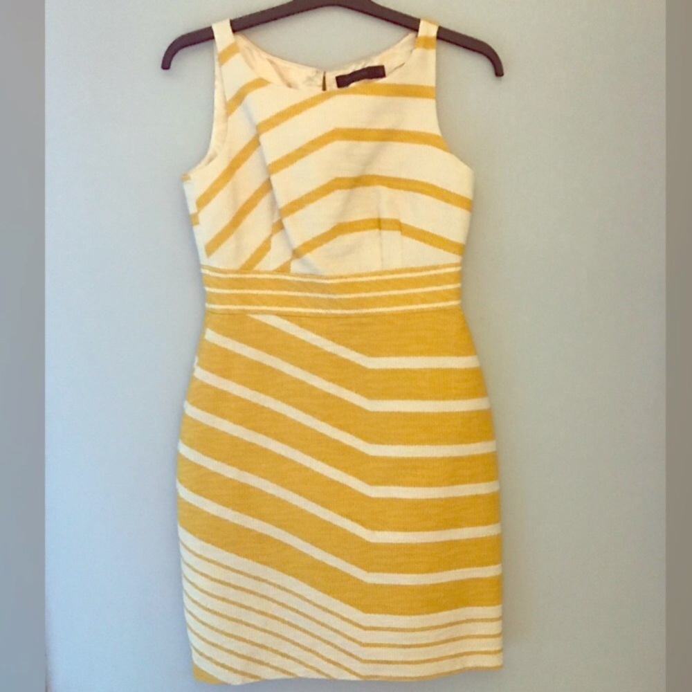 The Limited Dress