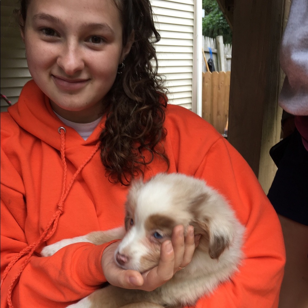 Meet your Posher, Alanna