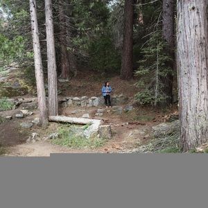 Meet your Posher, Janice