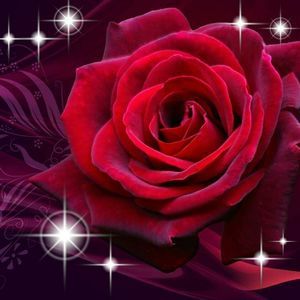 Meet your Posher, Ruby