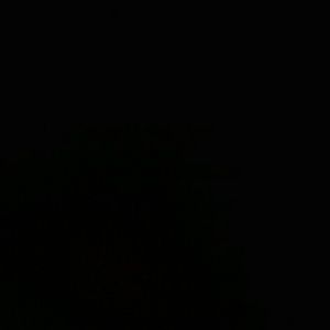 Meet your Posher, Vivian