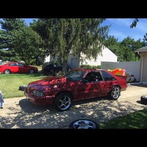 Meet your Posher, Robert