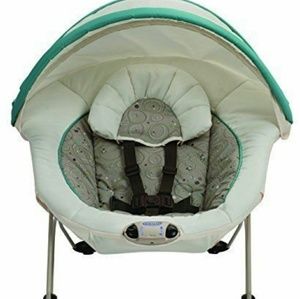 Graco Simple Snuggles Bouncer