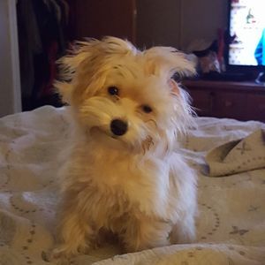 Meet your Posher, April