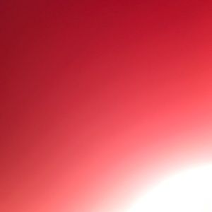 Meet your Posher, Malik