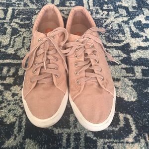 Super comfy rocket dogs!