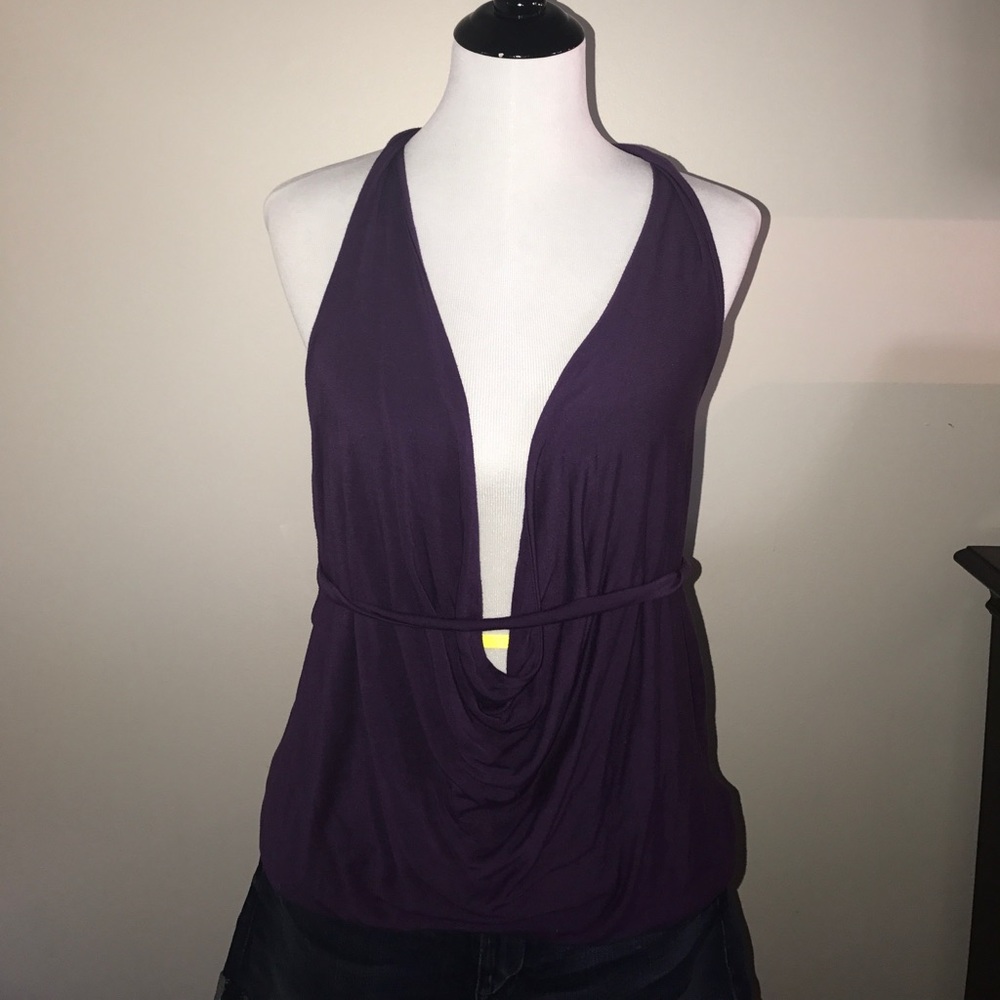LaRok Athena Halter Plunge top in Purple.
