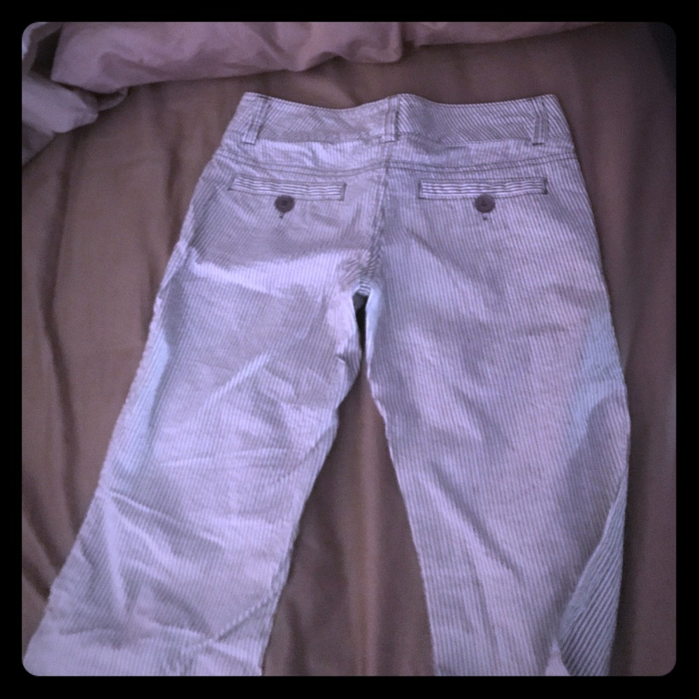 Fossil dress pants