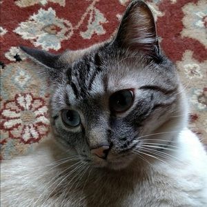 Meet your Posher, Ann